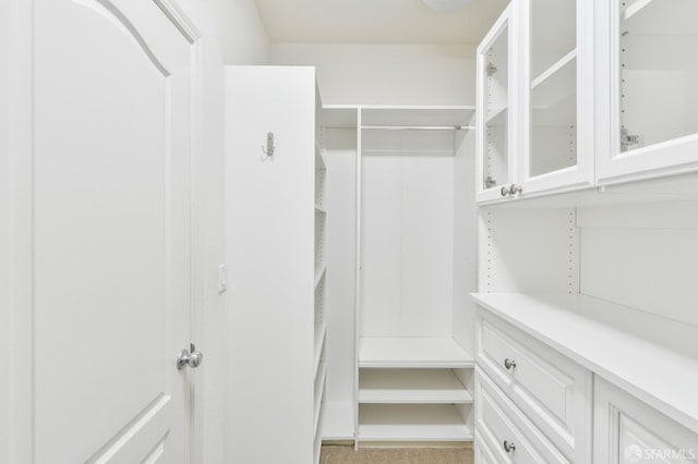 3069 Vittoria Loop, Dublin, CA 94568 - view of walk in closet