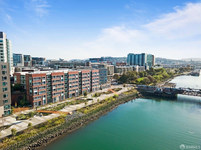 110 Channel St Unit 306, San Francisco, CA 94158 - photo 65