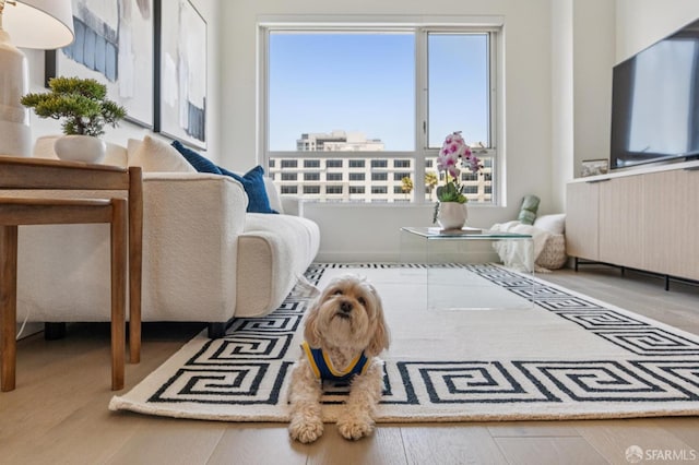 110 Channel St Unit 306, San Francisco, CA 94158 - photo 50