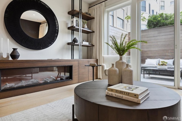 living area featuring wood-type flooring