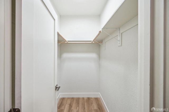 spacious closet with hardwood / wood-style flooring