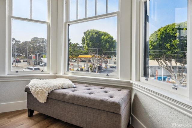 living area featuring hardwood / wood-style floors