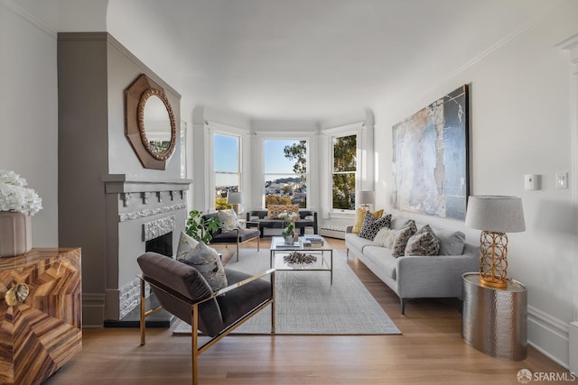 living area featuring baseboard heating, a fireplace, and wood finished floors