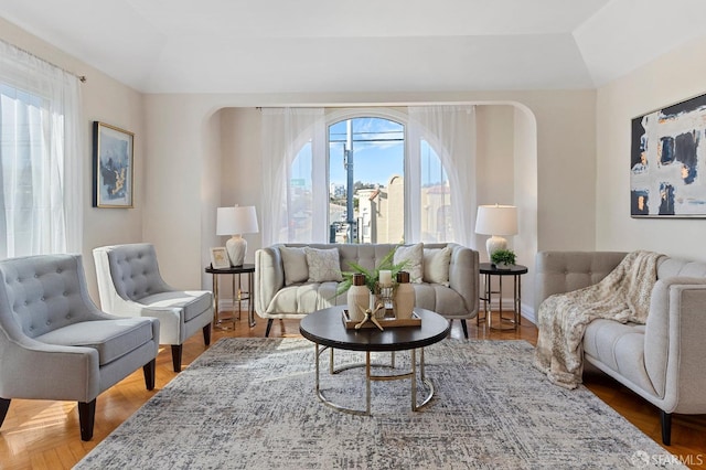 living room with a raised ceiling and a healthy amount of sunlight