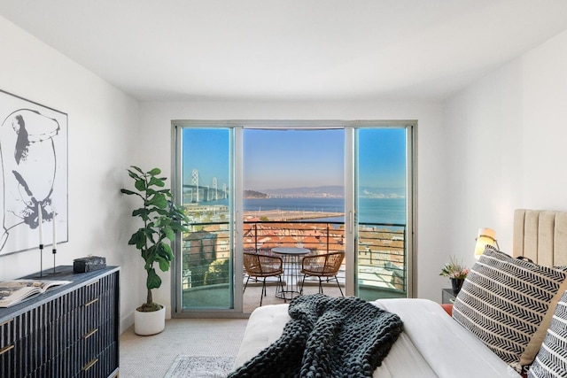 bedroom with access to exterior, multiple windows, and carpet flooring