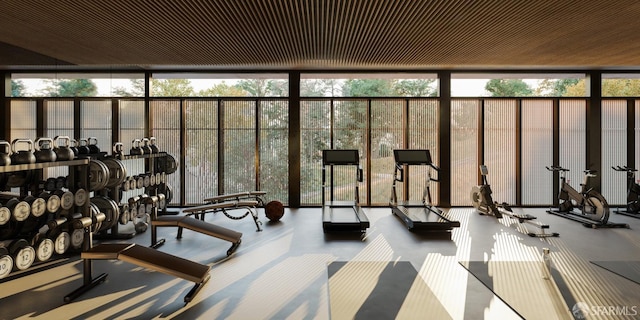 exercise room featuring a wall of windows