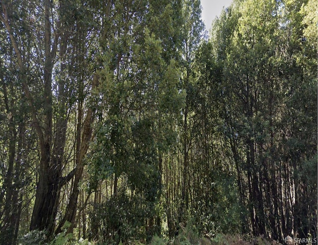 1659 Toth Rd, Whitethorn, CA 95589