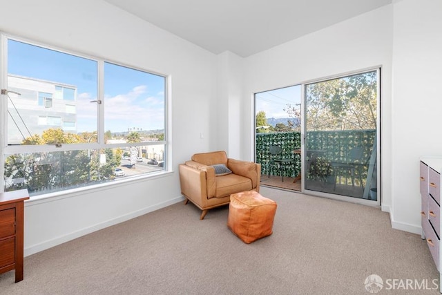 living area featuring light colored carpet and a wealth of natural light