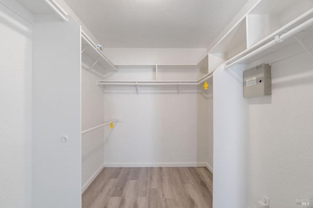 walk in closet with light hardwood / wood-style floors