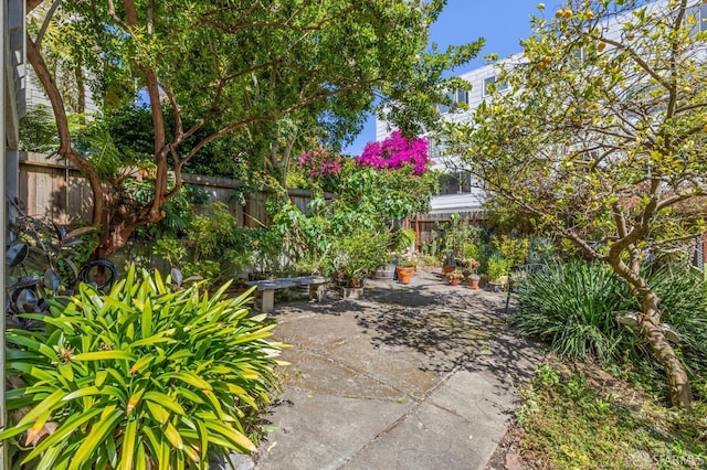3364 21st St, San Francisco, CA 94110 - fenced backyard featuring a patio