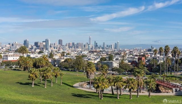 3364 21st St, San Francisco, CA 94110 - skyline view