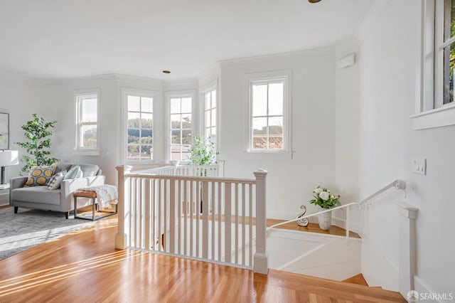 interior space with baseboards, wood finished floors, and ornamental molding