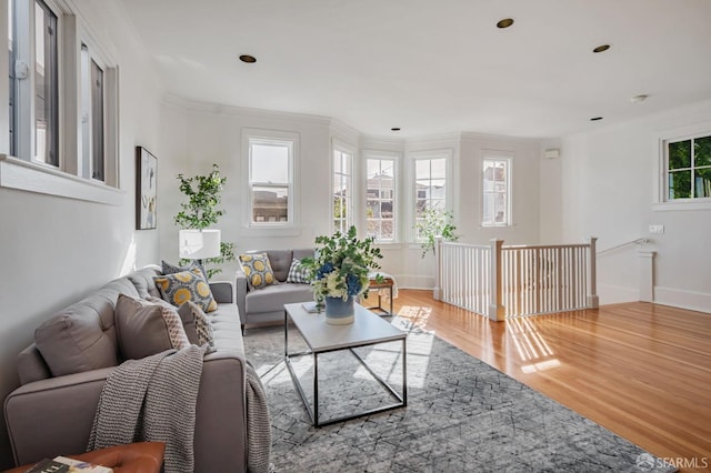 living room featuring recessed lighting, baseboards, wood finished floors, and crown molding