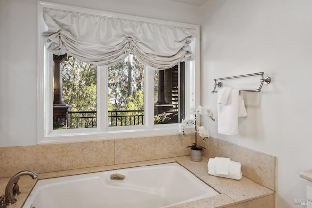 bathroom featuring a tub and a healthy amount of sunlight