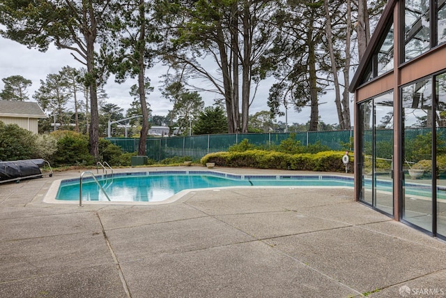 view of pool featuring a patio area