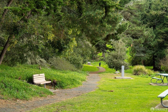 view of home's community featuring a yard