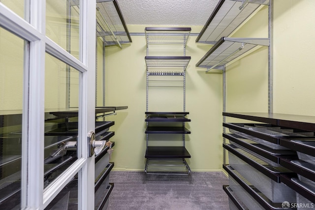 spacious closet featuring dark carpet