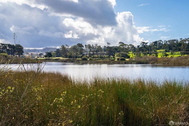 view of water feature