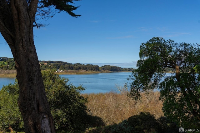 property view of water