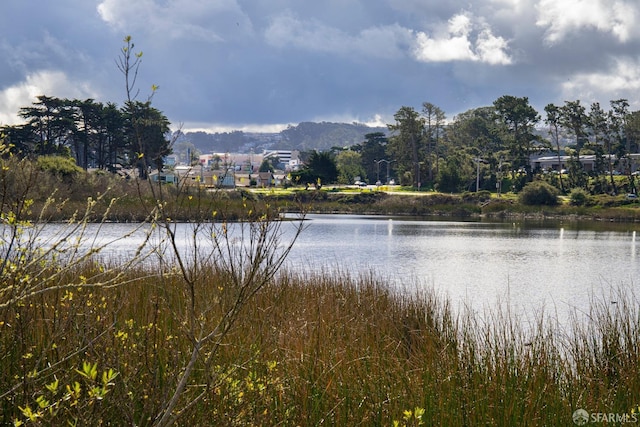 property view of water featuring a mountain view