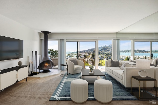 carpeted living room featuring a water view, a wood stove, and plenty of natural light