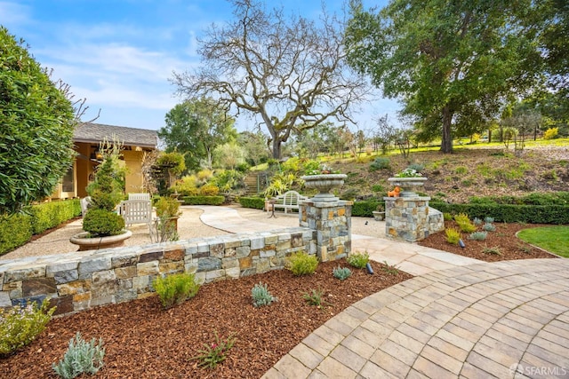 view of yard with a patio area