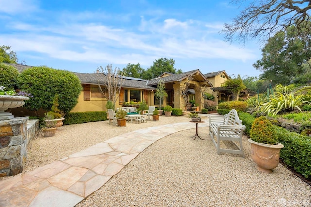 back of property featuring stucco siding, a pergola, and a patio