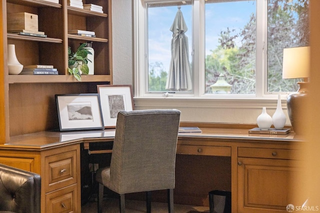 office area featuring built in features and built in desk