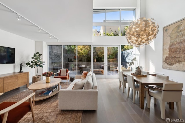 living room with a healthy amount of sunlight, hardwood / wood-style flooring, and rail lighting