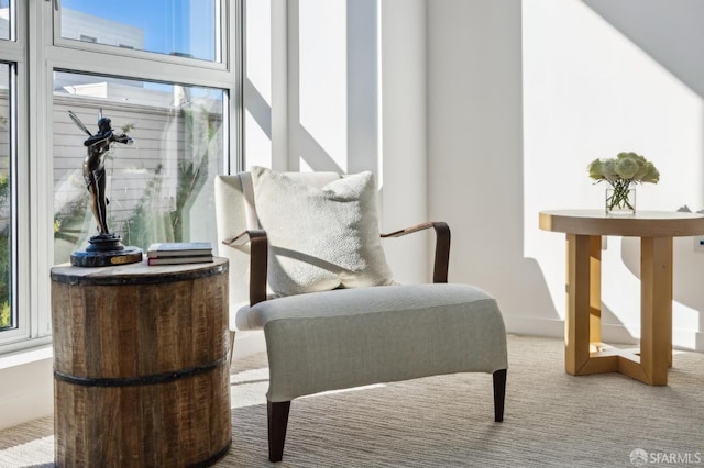 living area featuring carpet floors