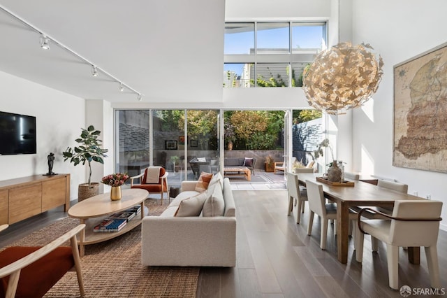 living room featuring hardwood / wood-style floors, rail lighting, and plenty of natural light