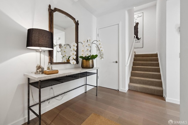 entrance foyer featuring wood-type flooring