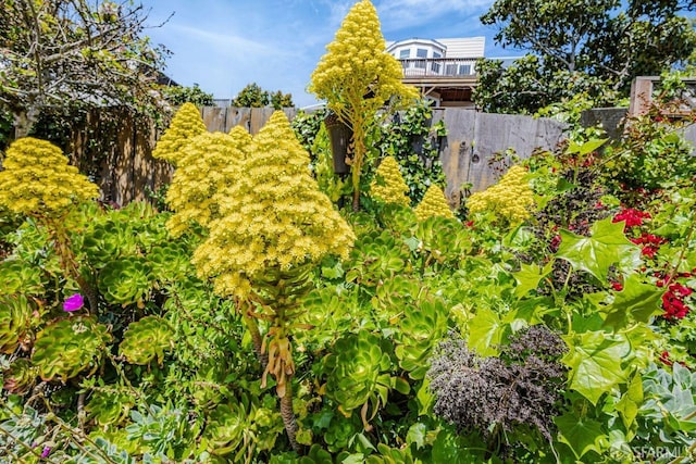 218-220 Monterey Blvd, San Francisco, CA 94131 - view of yard with fence