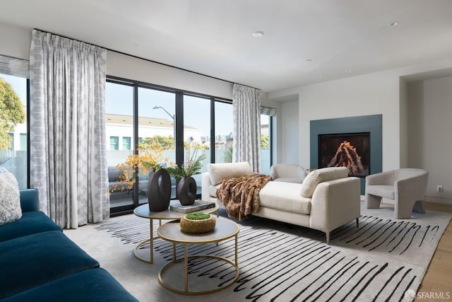 living room with a healthy amount of sunlight and light wood-type flooring