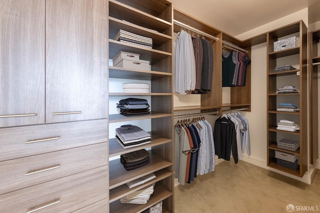 spacious closet with light carpet