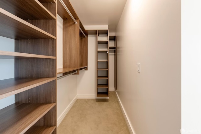 walk in closet with light colored carpet