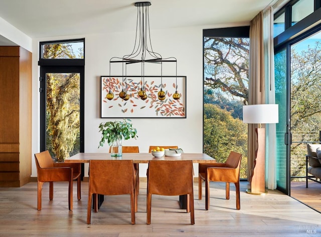 dining area featuring vaulted ceiling and light hardwood / wood-style flooring