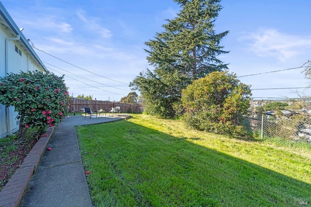 view of yard featuring a fenced backyard and a patio