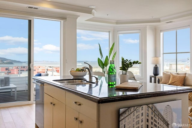 kitchen featuring a wealth of natural light, visible vents, a sink, and dishwasher