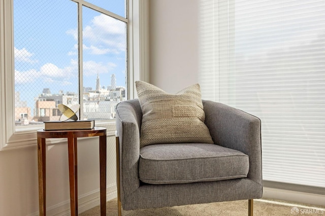 sitting room featuring a city view