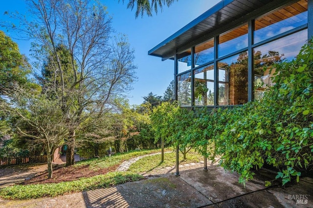 view of yard featuring a patio area