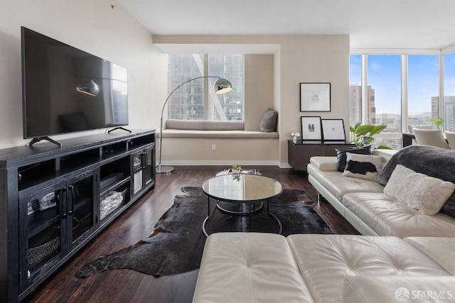 living room featuring expansive windows, baseboards, a city view, and dark wood-type flooring