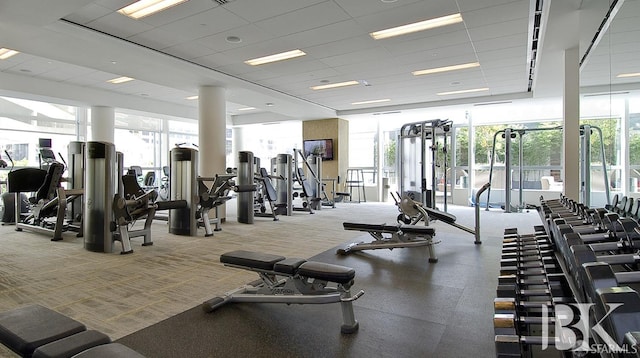 gym featuring a paneled ceiling, a wealth of natural light, and floor to ceiling windows