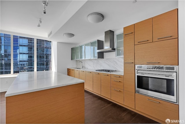 kitchen featuring stainless steel appliances, a sink, wall chimney exhaust hood, tasteful backsplash, and dark wood finished floors