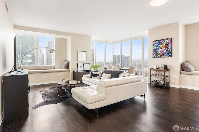 living room with floor to ceiling windows, a city view, baseboards, and wood finished floors