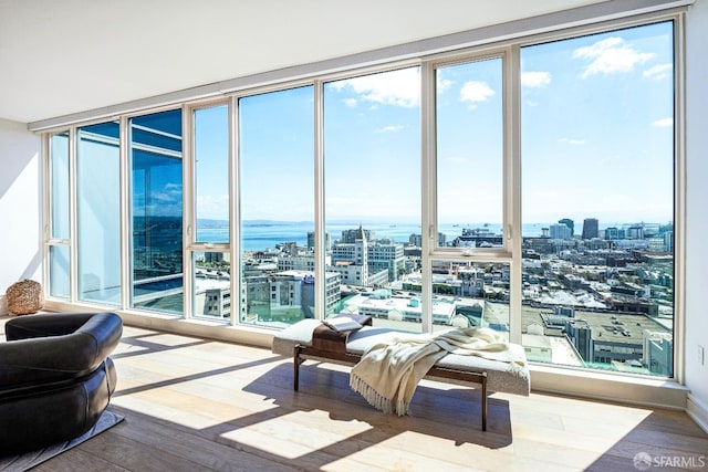 interior space featuring hardwood / wood-style floors