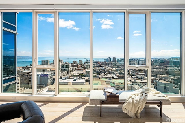 living room with a water view and hardwood / wood-style flooring