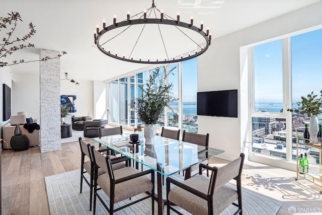 dining space with light hardwood / wood-style flooring and ornate columns