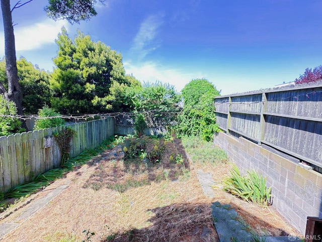 11 Wood St, San Francisco, CA 94118 - photo 9