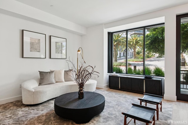 1 Bristol Ct Unit 202, San Francisco, CA 94130 - living area with light wood-style flooring and baseboards